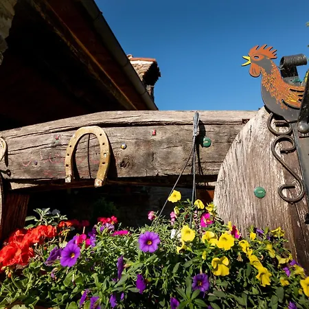 Immenso - Pool Bbq Relax Villa *