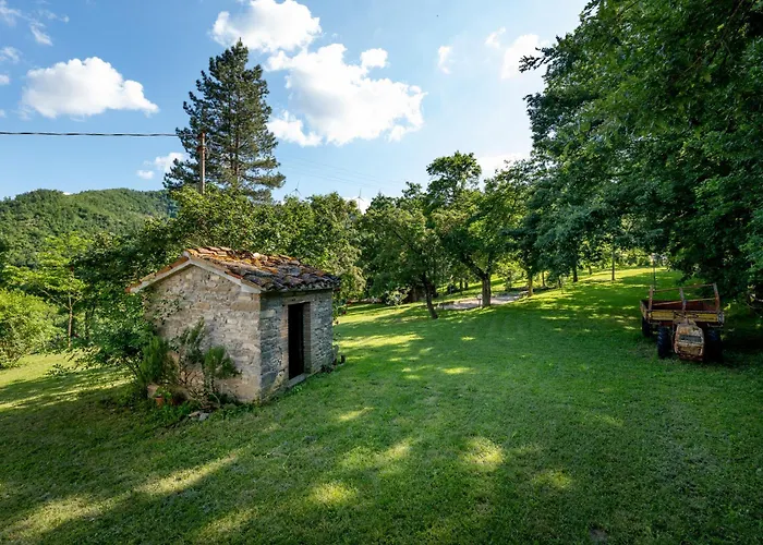 Immenso - Pool Bbq Relax Molino Abbadia