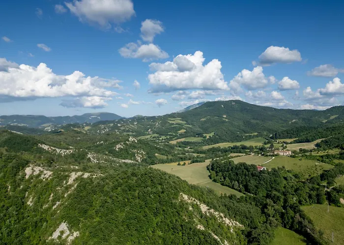 Immenso - Pool Bbq Relax *